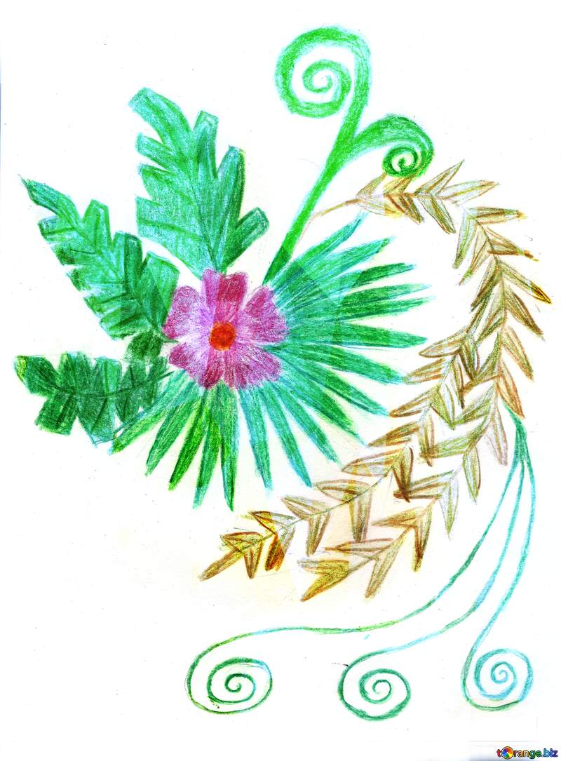 flower and feather Fern Pencil drawing №49256