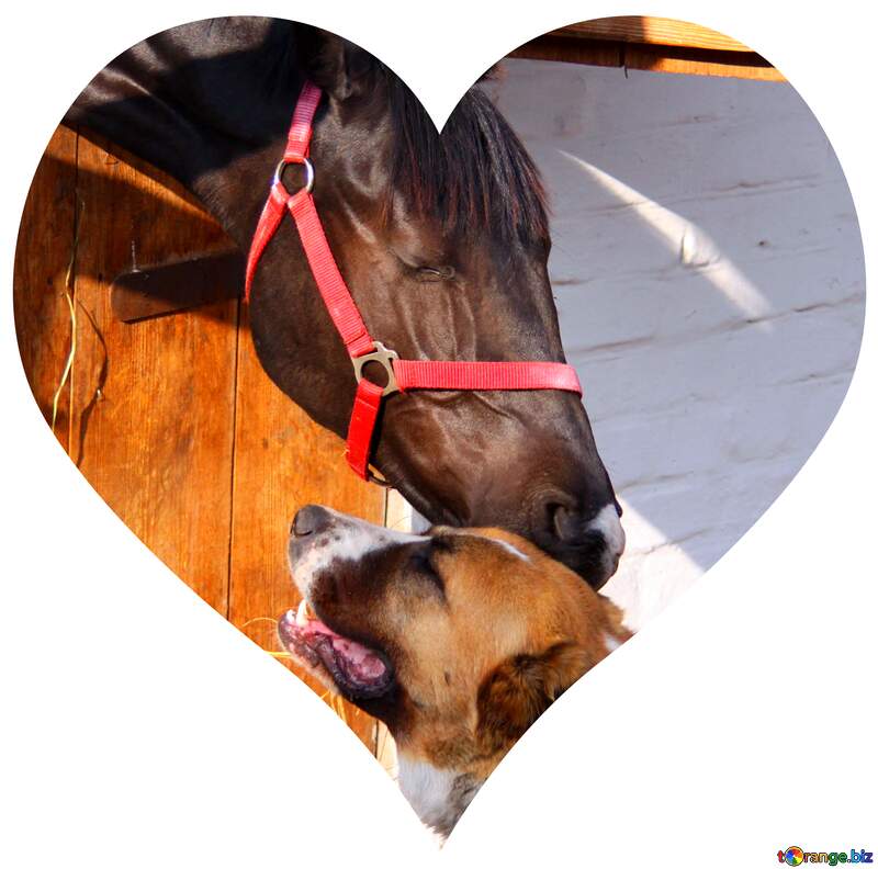 Horse and Dog Friendship Heart frame №1960