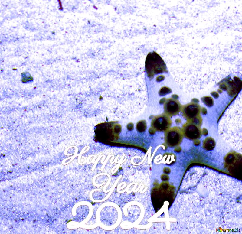Starfish Happy New Year 2024 №53878