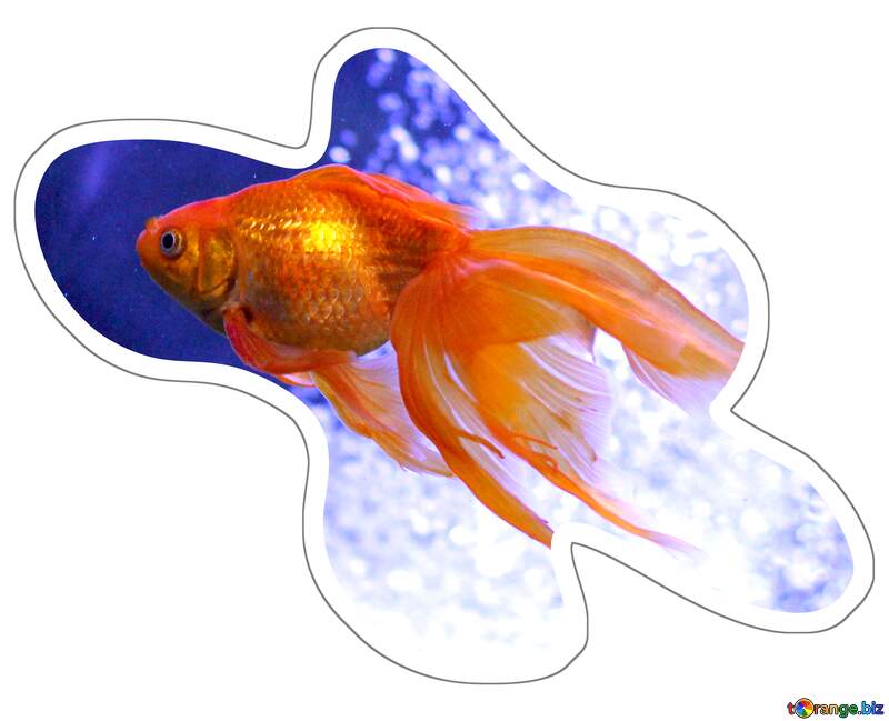 Sticker goldfish №53787