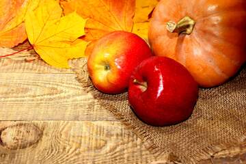 FX №221166 Autumn fruits