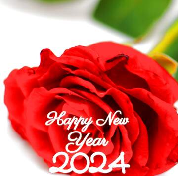 FX №221168 Bright Rose Happy New Year 2024
