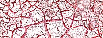 FX №221894 The cracked earth texture
