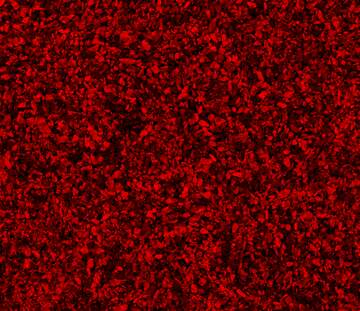 FX №221250 Gravel red texture.