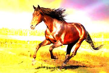 FX №221196 Horse art background