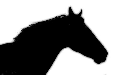 FX №221608 Silhouette the muzzle of horse