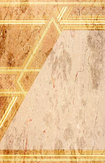 FX №221850 Texture of polished stone gold lines geometrical template