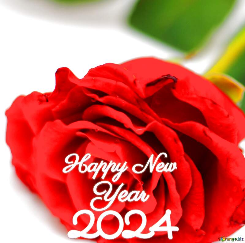 Bright Rose Happy New Year 2022 №16896