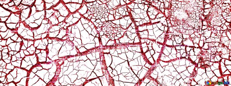 The cracked earth texture №174