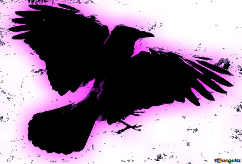 Crow silhouette  art №43205