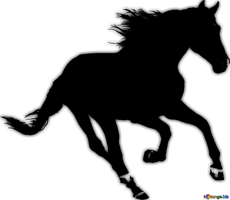 Horse runs Silhouette isolated №46150