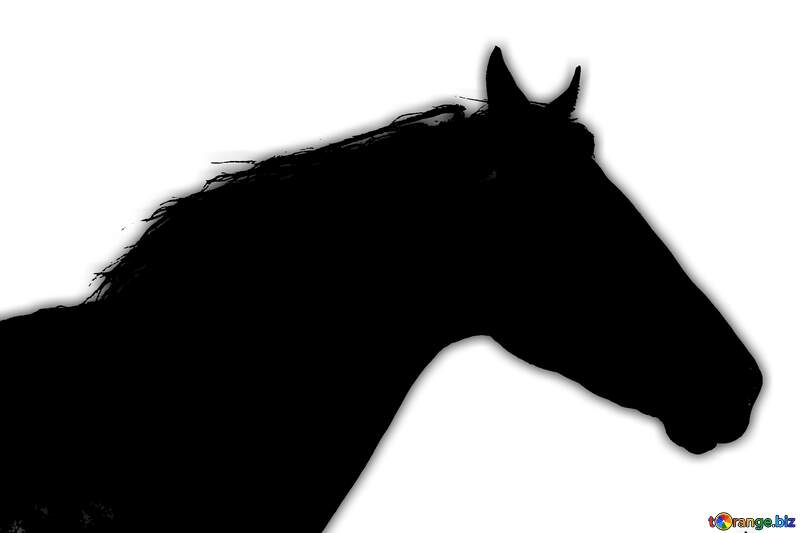 Silhouette the muzzle of horse №36656
