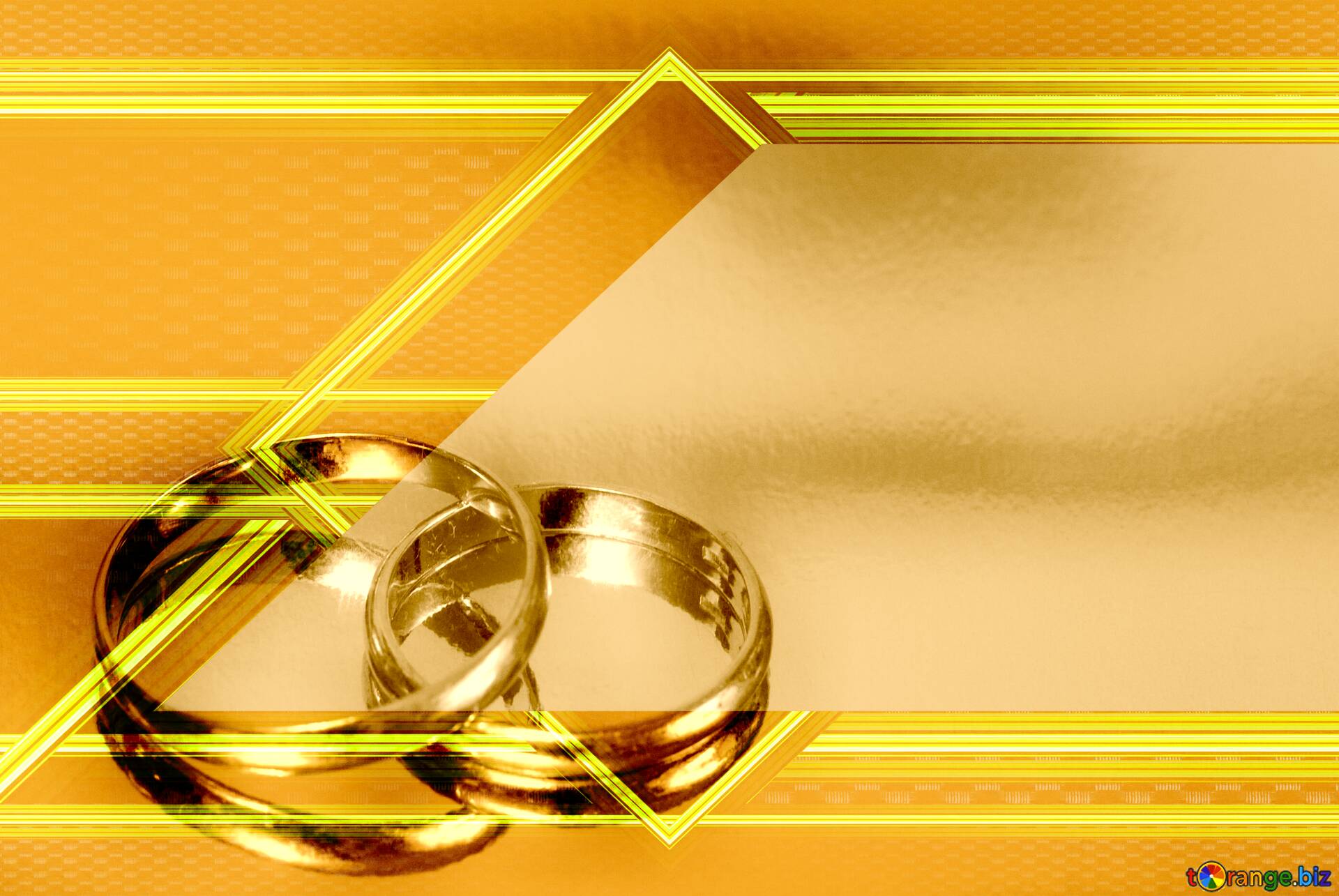 Two golden wedding rings tied with a golden ribbon on white wooden  background Stock Photo by rawf8