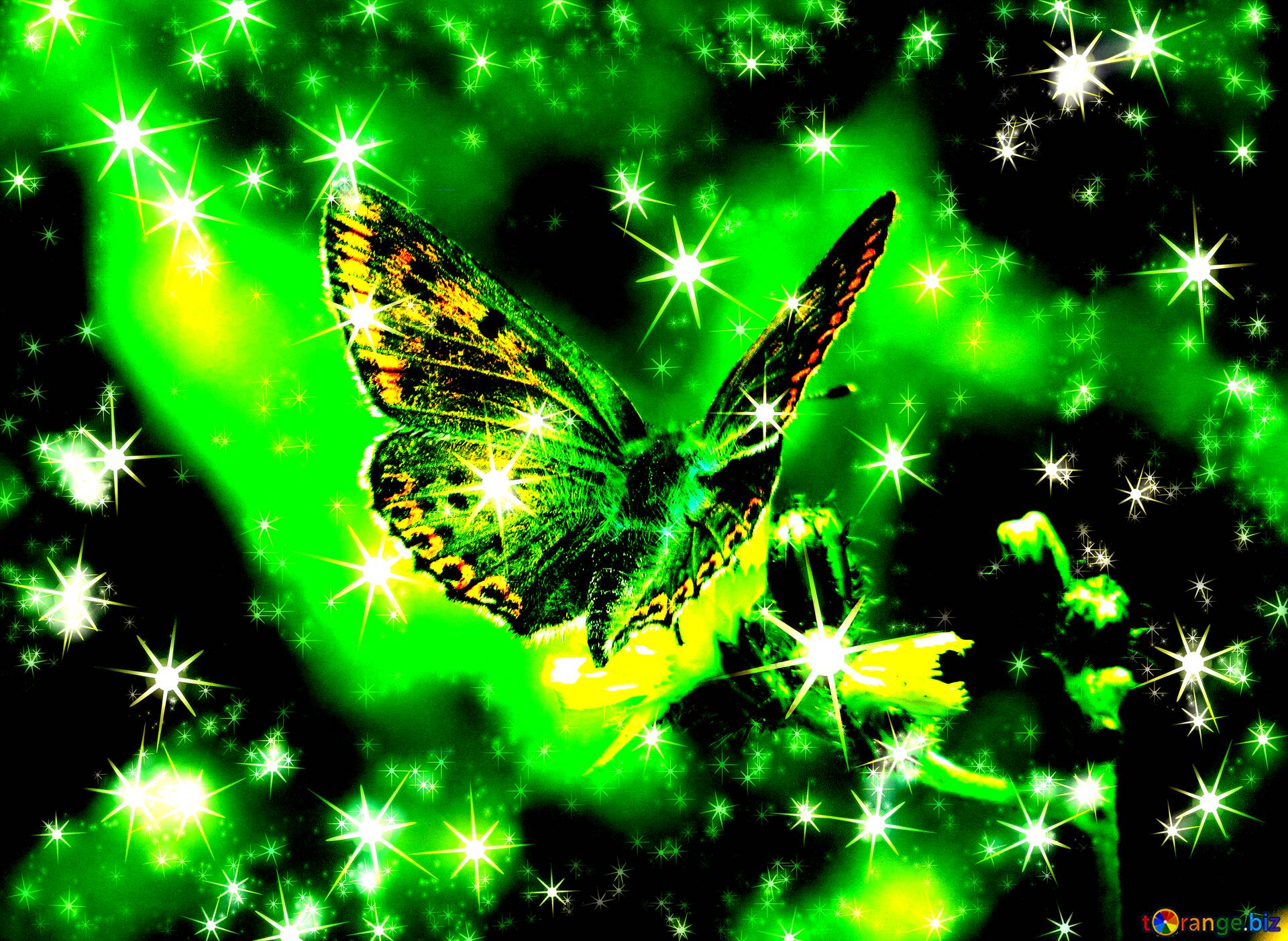Download free picture Flying butterfly background with clusters of bright  twinkling stars on CC-BY License ~ Free Image Stock  ~ fx №222478