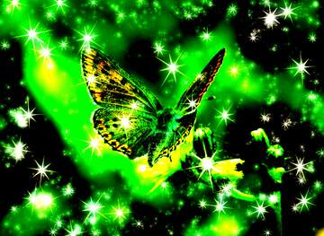 FX №222478 Flying butterfly background with clusters of bright twinkling stars
