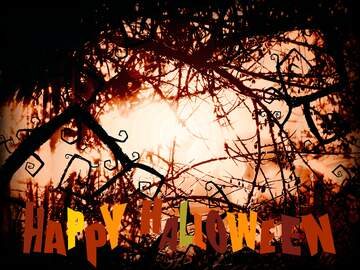 FX №222307 happy halloween background template frame Spooky forest