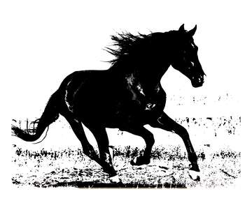 FX №222433 horse silhouette