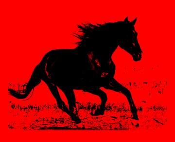 FX №222432 Red black horse silhouette