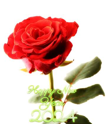 FX №222261 A rose Happy New Year 2024