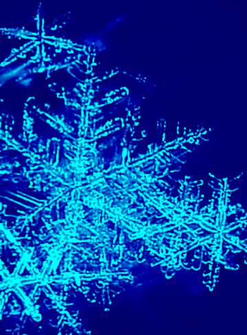 FX №222426 Snowflakes blue background