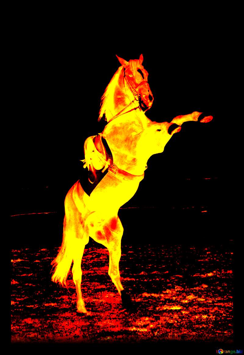 Fire Horse standing on hind legs №1288