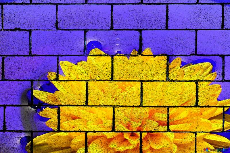 flower blocks wall blue and yellow №37279