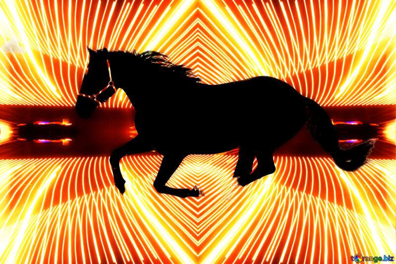 Horse Lights lines curves pattern №18191