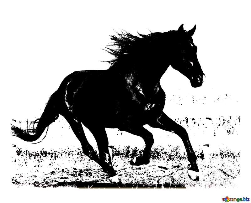 horse silhouette №36664