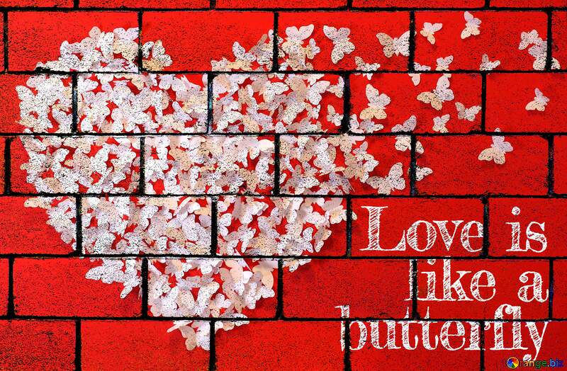 Love is like a butterfly wall blocks №49682
