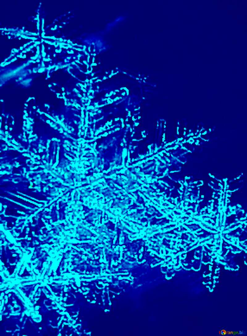 Snowflakes blue background №16978