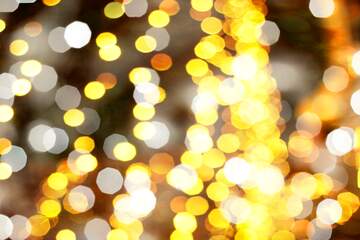 FX №224290 Golden Christmas twinkling lights