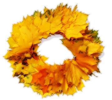 FX №224140 Transparent  Autumn wreath frame