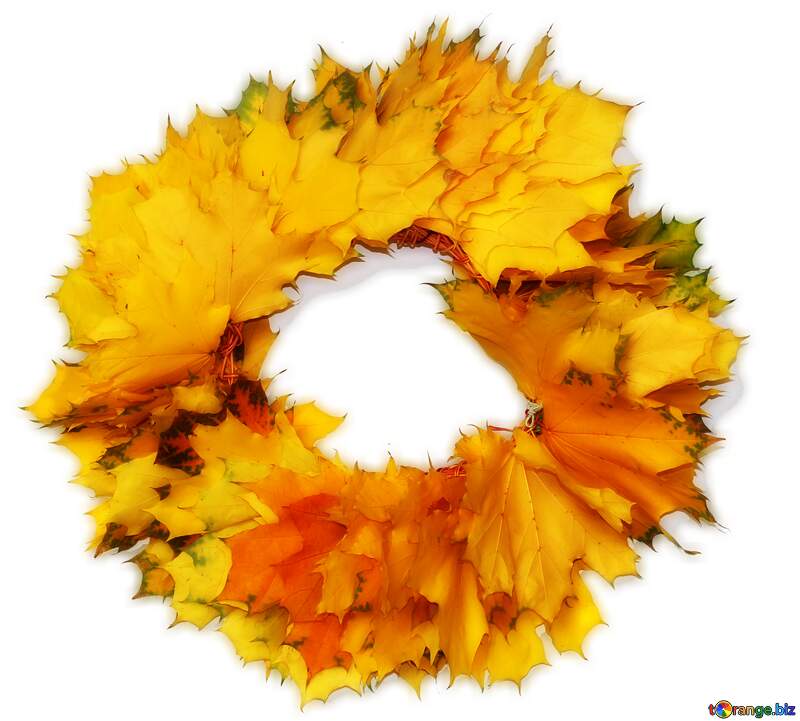 Transparent  Autumn wreath frame №40866