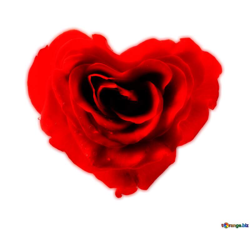 Transparent  Rose heart №17029
