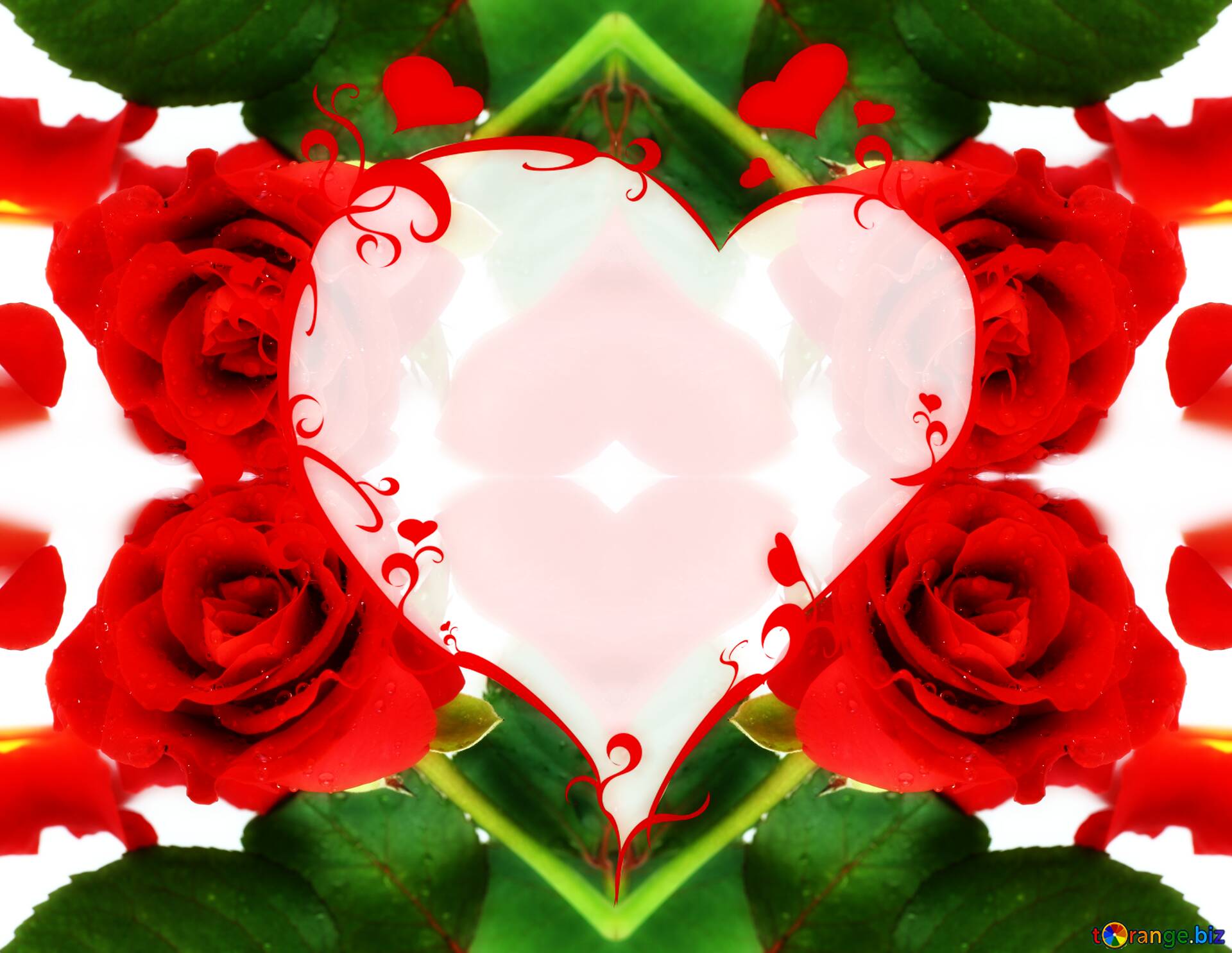 roses heart after effects templates free download