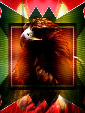 FX №226495 eagle template