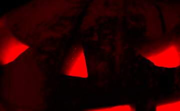 FX №226380 Red black Halloween background