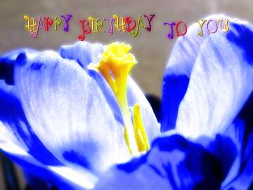 FX №227706 Blue Spring Flower happy birthday