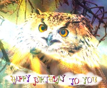 FX №227464 Owl happy birthday card