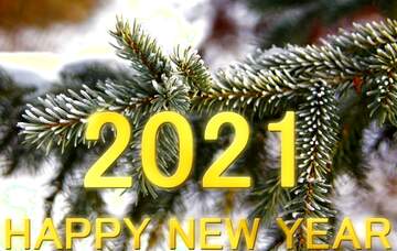 FX №228842 Happy New Year 2012  spruce branches Shiny lettering gold