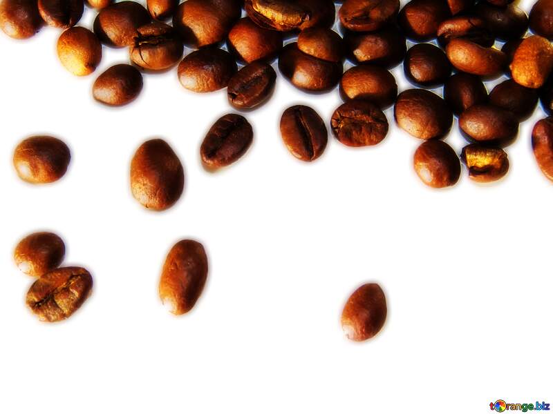 coffee grains transparent №32289