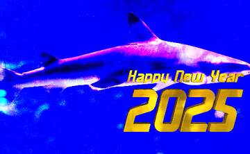 FX №229313 Blue  shark happy new year 2025