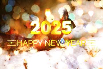 FX №229235 Squirrel happy new year 2025 background