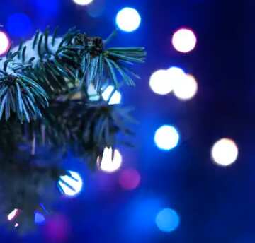 FX №23964 Christmas Tree dark blue
