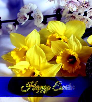 FX №230711 Happy Easter