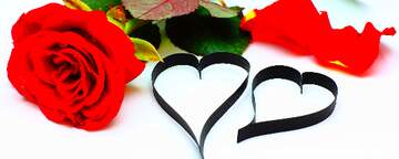 FX №230681 Two loving hearts background