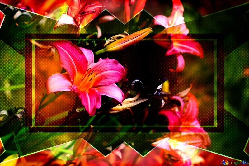 Flower art card background №46807