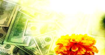 FX №231401 Flower and money background