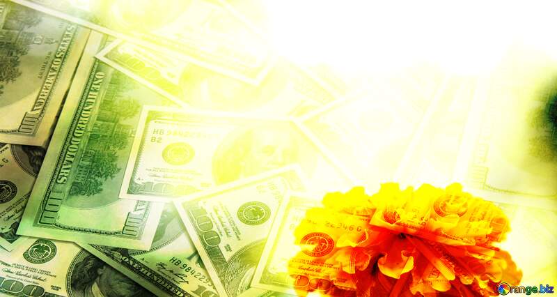 Flower and money background №33461