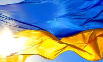 FX №233378 Flag Ukraine